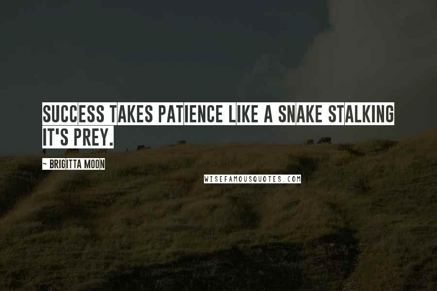 Brigitta Moon Quotes: Success takes patience like a snake stalking it's prey.