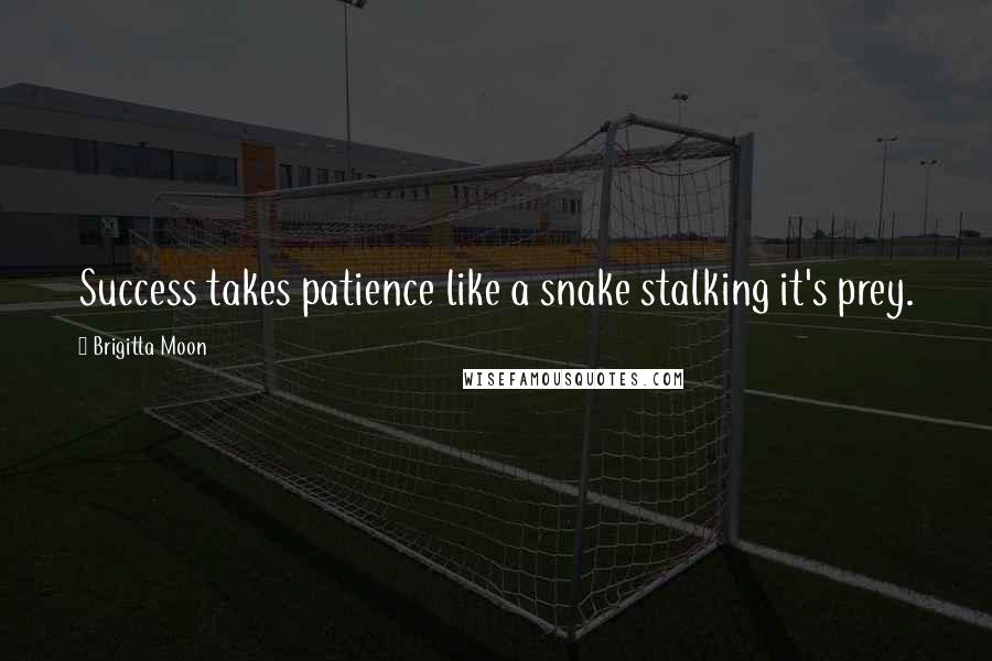 Brigitta Moon Quotes: Success takes patience like a snake stalking it's prey.
