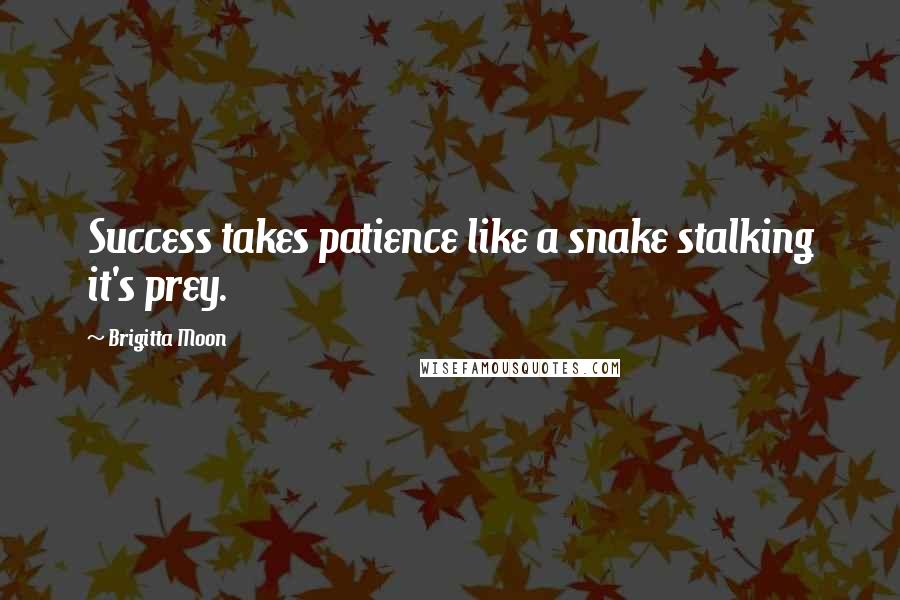 Brigitta Moon Quotes: Success takes patience like a snake stalking it's prey.
