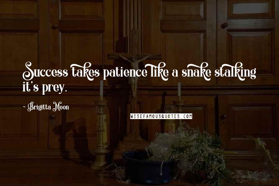Brigitta Moon Quotes: Success takes patience like a snake stalking it's prey.