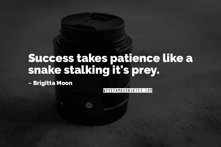 Brigitta Moon Quotes: Success takes patience like a snake stalking it's prey.