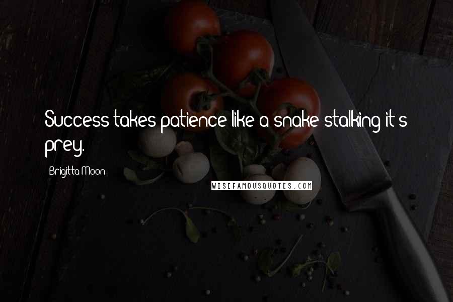 Brigitta Moon Quotes: Success takes patience like a snake stalking it's prey.
