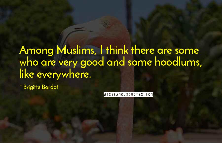 Brigitte Bardot Quotes: Among Muslims, I think there are some who are very good and some hoodlums, like everywhere.