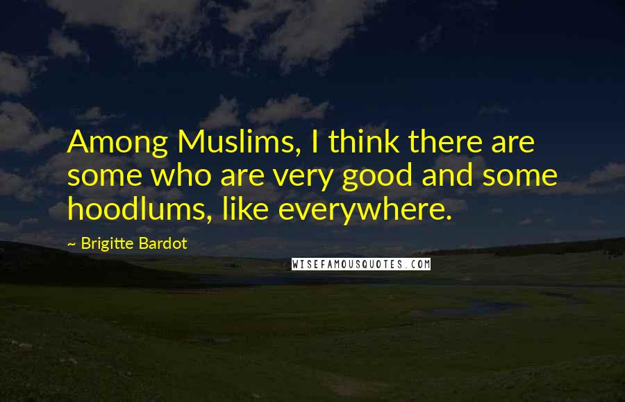 Brigitte Bardot Quotes: Among Muslims, I think there are some who are very good and some hoodlums, like everywhere.