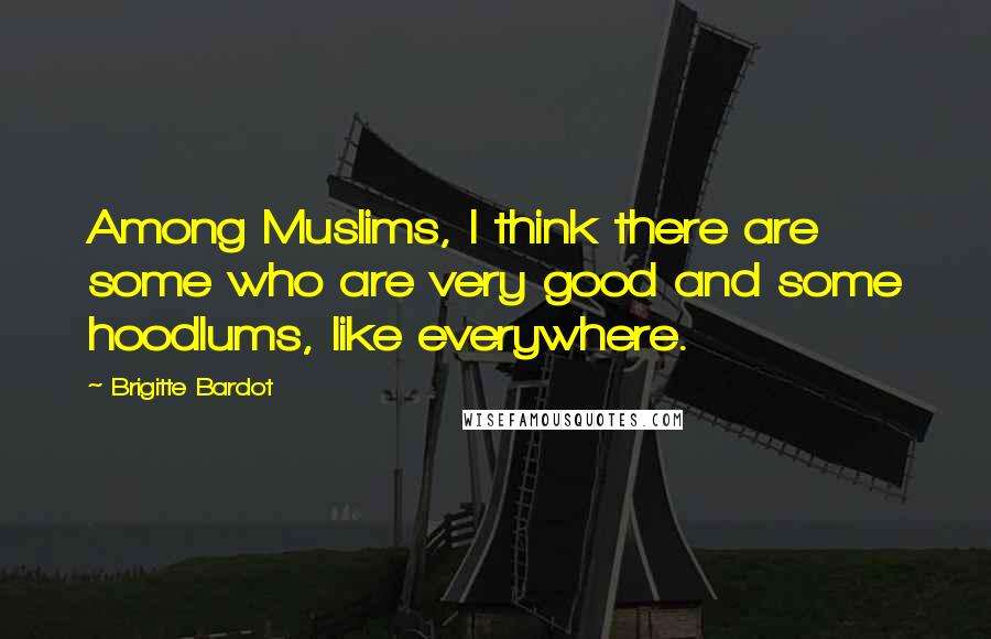 Brigitte Bardot Quotes: Among Muslims, I think there are some who are very good and some hoodlums, like everywhere.