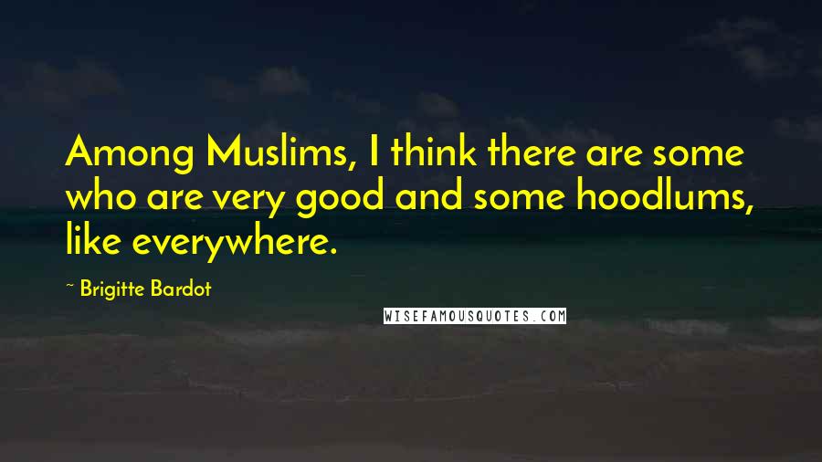 Brigitte Bardot Quotes: Among Muslims, I think there are some who are very good and some hoodlums, like everywhere.