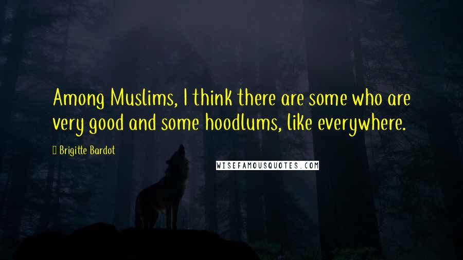 Brigitte Bardot Quotes: Among Muslims, I think there are some who are very good and some hoodlums, like everywhere.