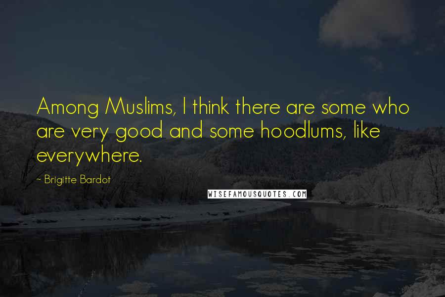 Brigitte Bardot Quotes: Among Muslims, I think there are some who are very good and some hoodlums, like everywhere.