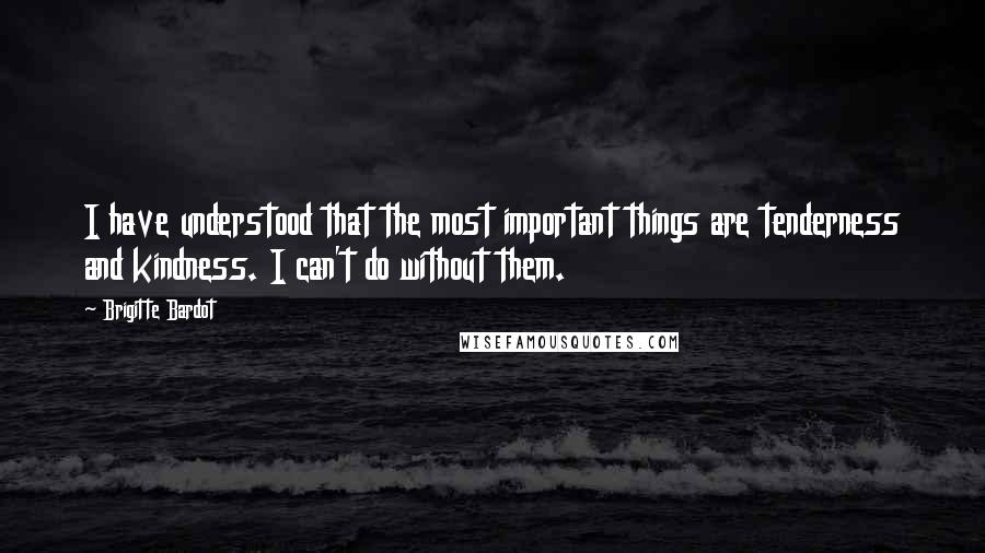 Brigitte Bardot Quotes: I have understood that the most important things are tenderness and kindness. I can't do without them.