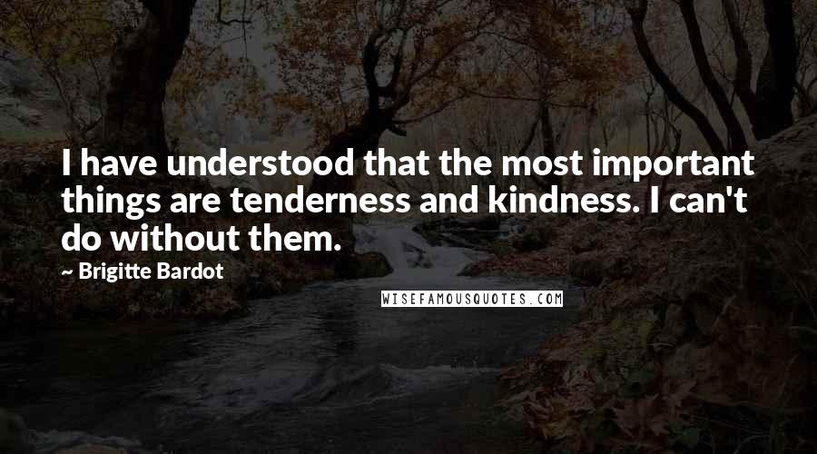 Brigitte Bardot Quotes: I have understood that the most important things are tenderness and kindness. I can't do without them.