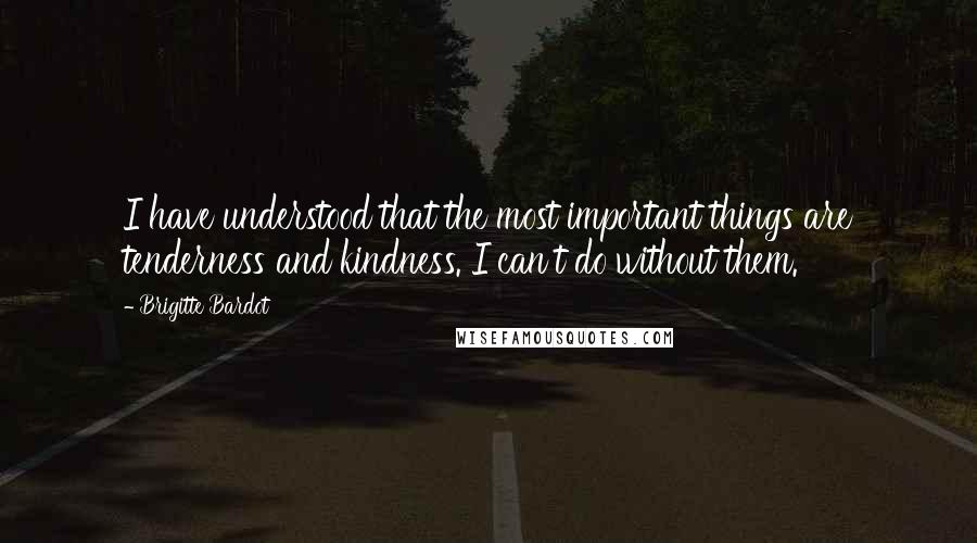 Brigitte Bardot Quotes: I have understood that the most important things are tenderness and kindness. I can't do without them.