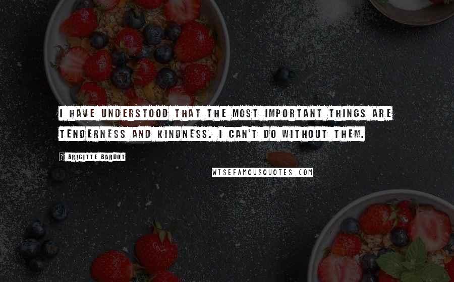 Brigitte Bardot Quotes: I have understood that the most important things are tenderness and kindness. I can't do without them.