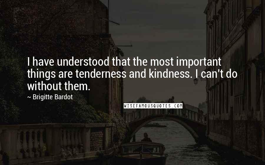 Brigitte Bardot Quotes: I have understood that the most important things are tenderness and kindness. I can't do without them.