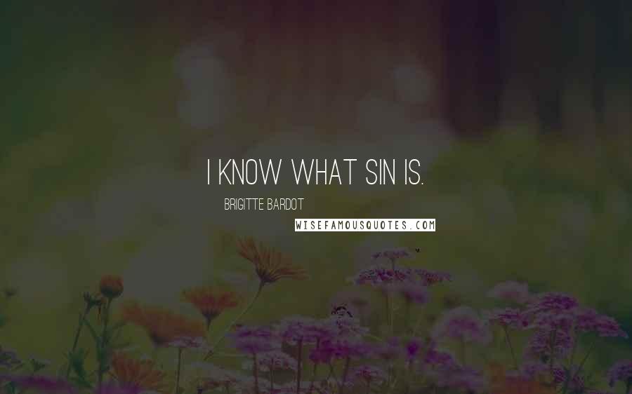 Brigitte Bardot Quotes: I know what sin is.