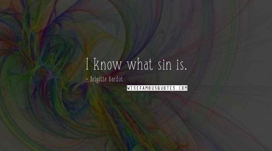 Brigitte Bardot Quotes: I know what sin is.
