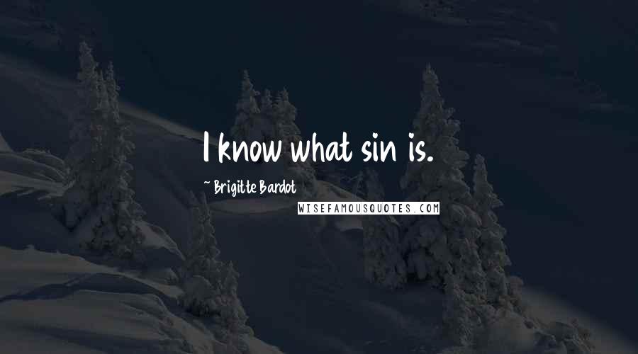 Brigitte Bardot Quotes: I know what sin is.
