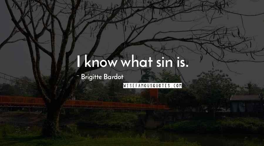 Brigitte Bardot Quotes: I know what sin is.