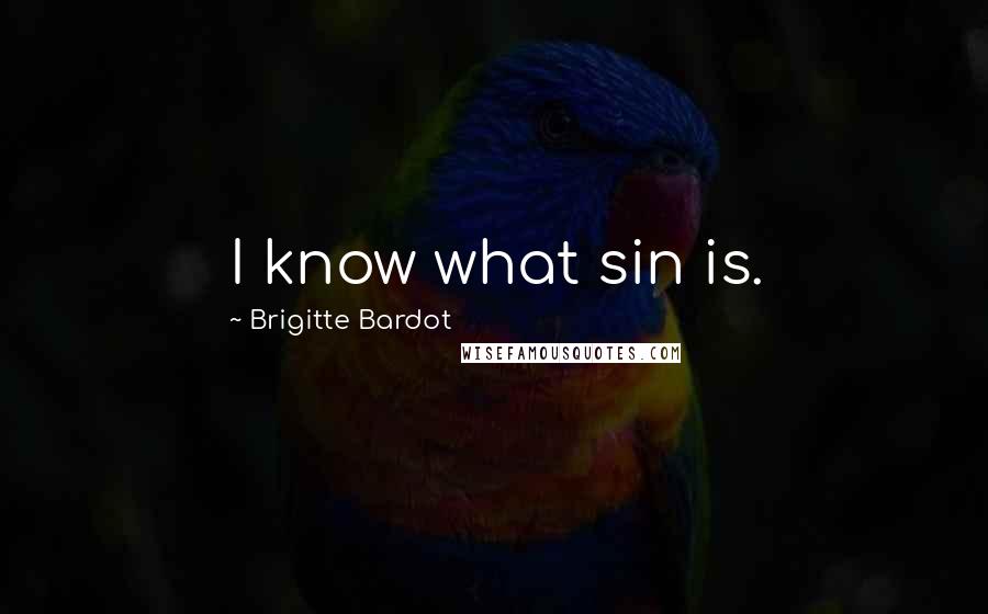 Brigitte Bardot Quotes: I know what sin is.