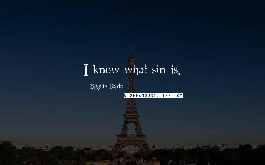 Brigitte Bardot Quotes: I know what sin is.