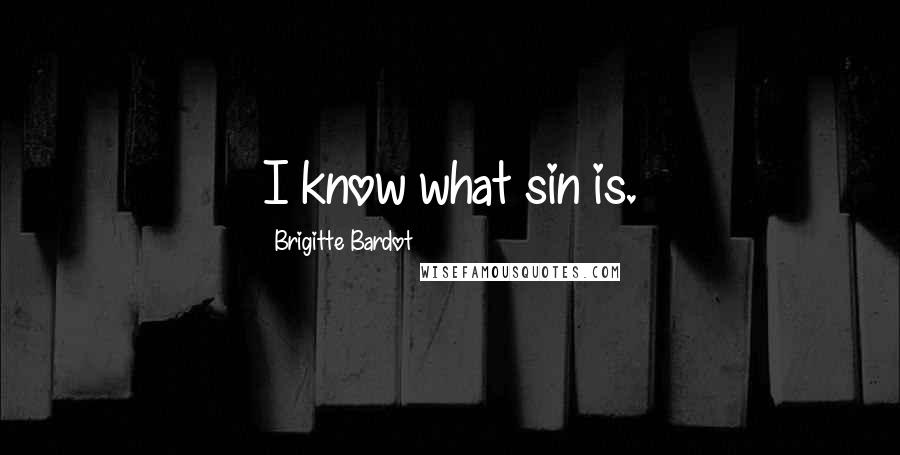 Brigitte Bardot Quotes: I know what sin is.