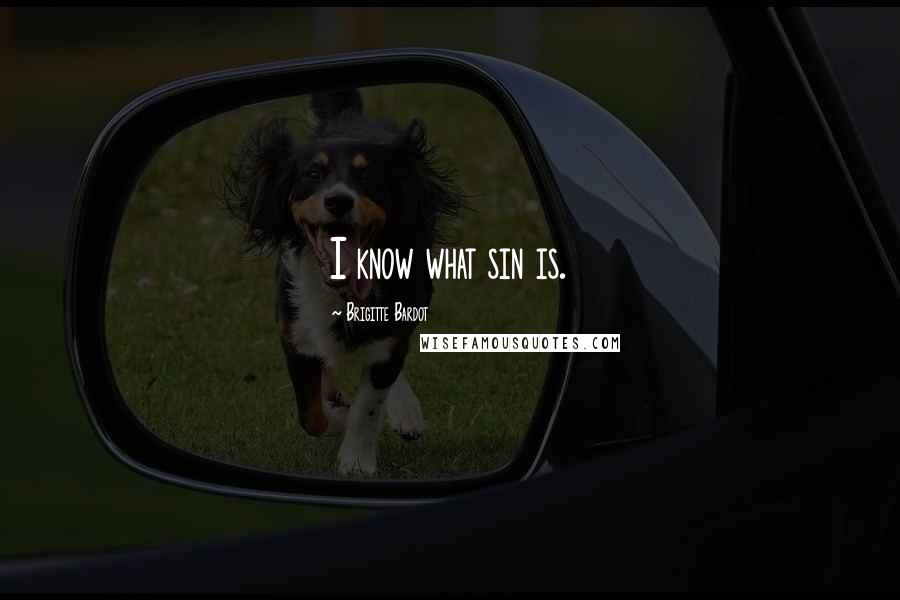 Brigitte Bardot Quotes: I know what sin is.