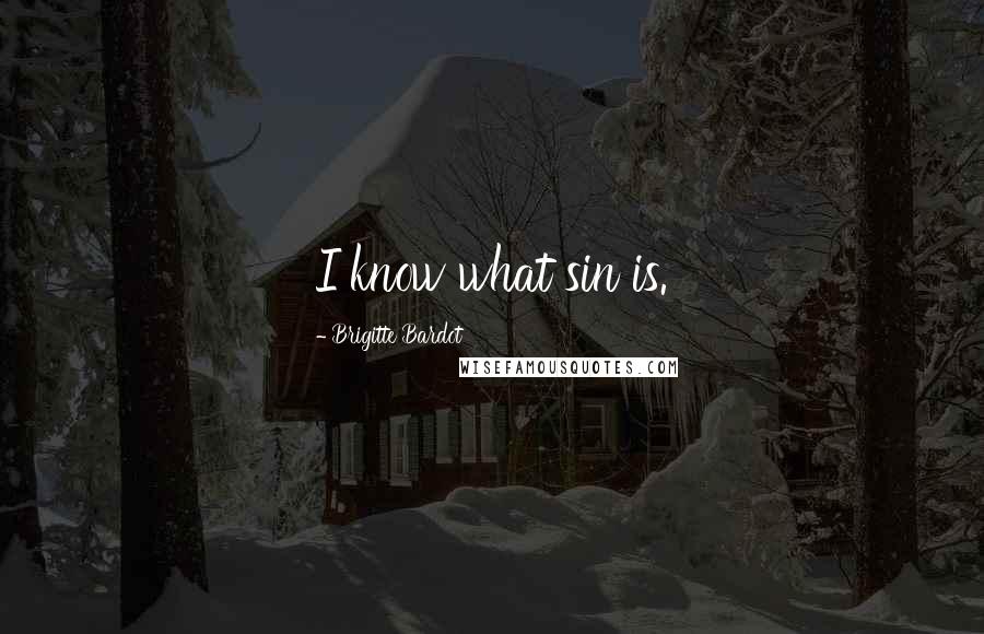 Brigitte Bardot Quotes: I know what sin is.