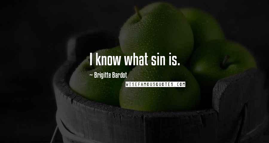 Brigitte Bardot Quotes: I know what sin is.
