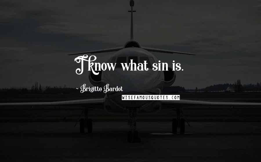 Brigitte Bardot Quotes: I know what sin is.