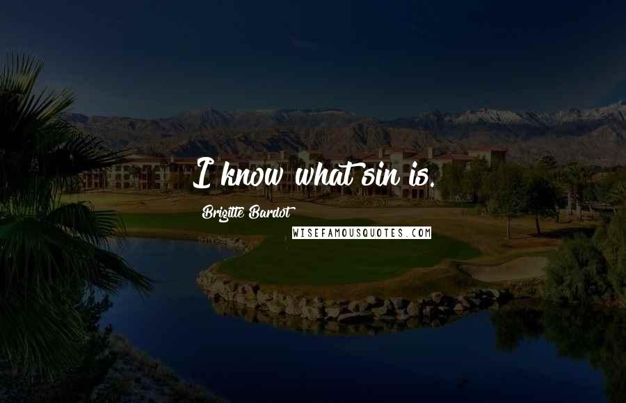Brigitte Bardot Quotes: I know what sin is.