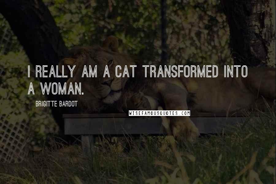 Brigitte Bardot Quotes: I really am a cat transformed into a woman.