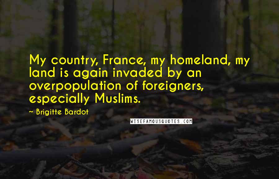 Brigitte Bardot Quotes: My country, France, my homeland, my land is again invaded by an overpopulation of foreigners, especially Muslims.