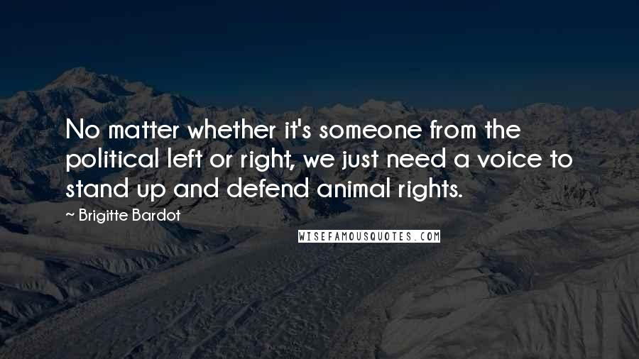 Brigitte Bardot Quotes: No matter whether it's someone from the political left or right, we just need a voice to stand up and defend animal rights.