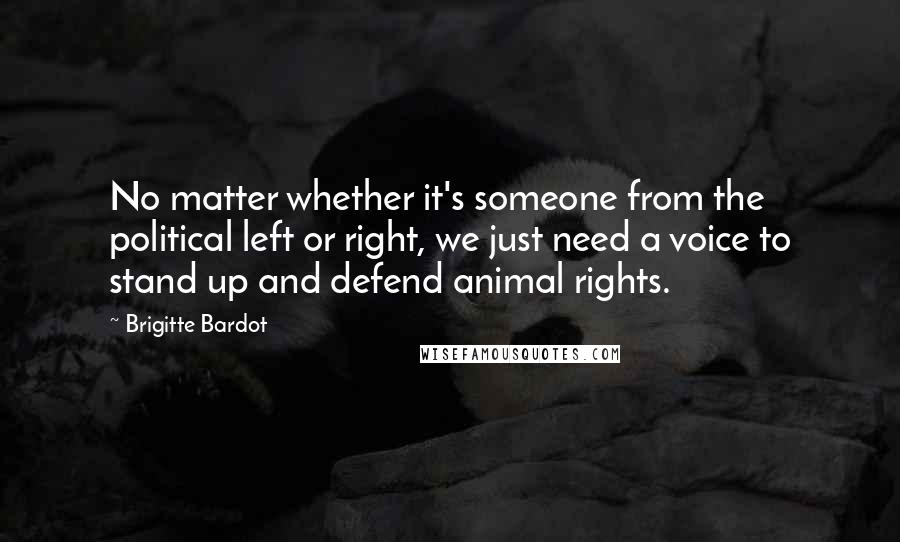 Brigitte Bardot Quotes: No matter whether it's someone from the political left or right, we just need a voice to stand up and defend animal rights.