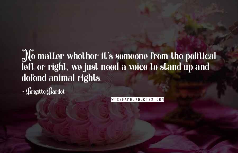 Brigitte Bardot Quotes: No matter whether it's someone from the political left or right, we just need a voice to stand up and defend animal rights.