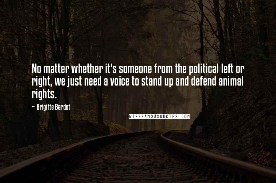 Brigitte Bardot Quotes: No matter whether it's someone from the political left or right, we just need a voice to stand up and defend animal rights.