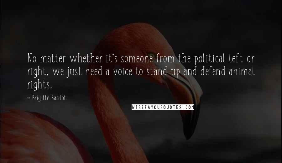 Brigitte Bardot Quotes: No matter whether it's someone from the political left or right, we just need a voice to stand up and defend animal rights.