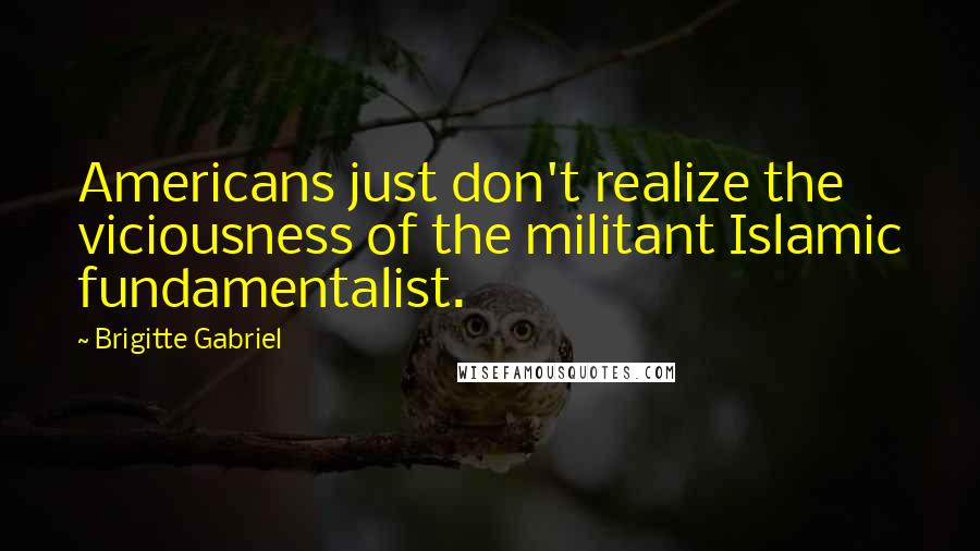 Brigitte Gabriel Quotes: Americans just don't realize the viciousness of the militant Islamic fundamentalist.