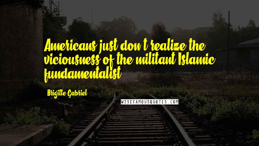 Brigitte Gabriel Quotes: Americans just don't realize the viciousness of the militant Islamic fundamentalist.