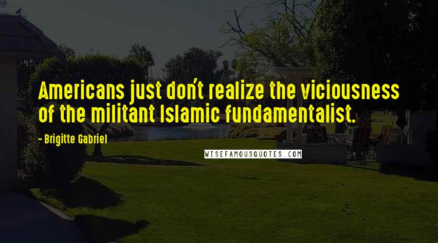 Brigitte Gabriel Quotes: Americans just don't realize the viciousness of the militant Islamic fundamentalist.