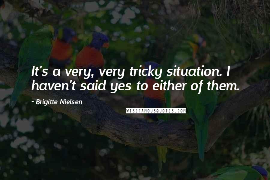 Brigitte Nielsen Quotes: It's a very, very tricky situation. I haven't said yes to either of them.