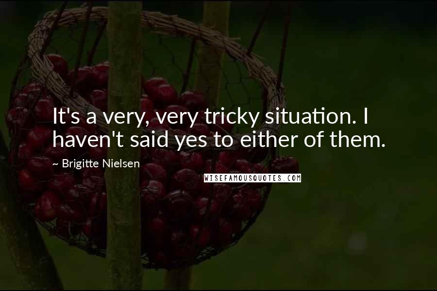 Brigitte Nielsen Quotes: It's a very, very tricky situation. I haven't said yes to either of them.