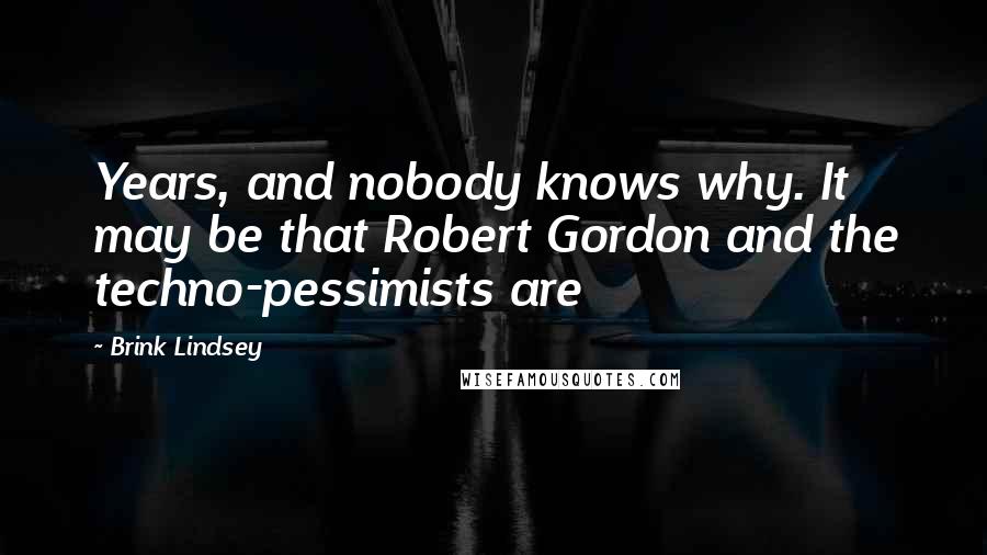 Brink Lindsey Quotes: Years, and nobody knows why. It may be that Robert Gordon and the techno-pessimists are