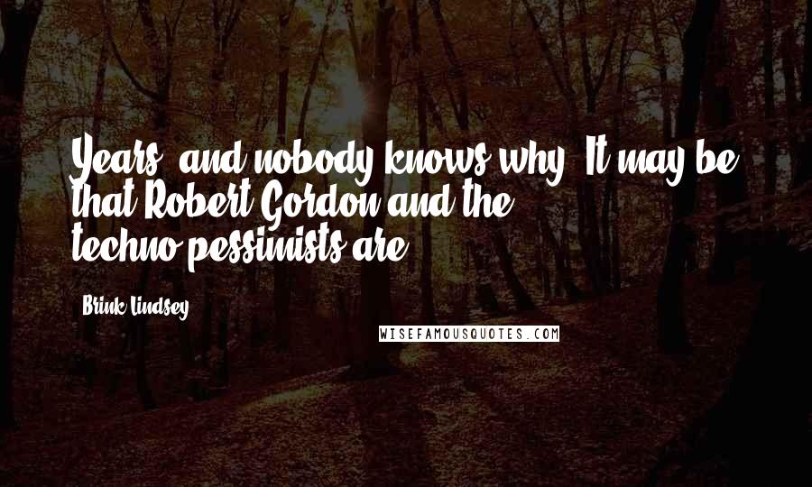 Brink Lindsey Quotes: Years, and nobody knows why. It may be that Robert Gordon and the techno-pessimists are