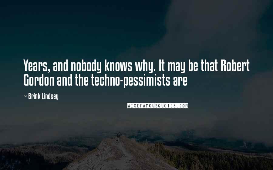 Brink Lindsey Quotes: Years, and nobody knows why. It may be that Robert Gordon and the techno-pessimists are