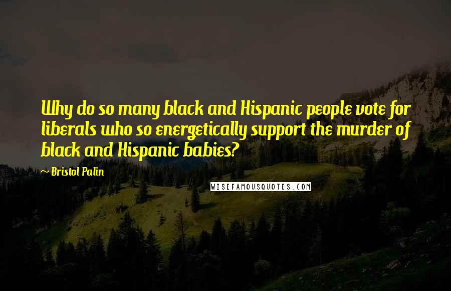 Bristol Palin Quotes: Why do so many black and Hispanic people vote for liberals who so energetically support the murder of black and Hispanic babies?