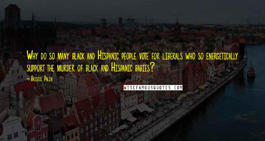 Bristol Palin Quotes: Why do so many black and Hispanic people vote for liberals who so energetically support the murder of black and Hispanic babies?