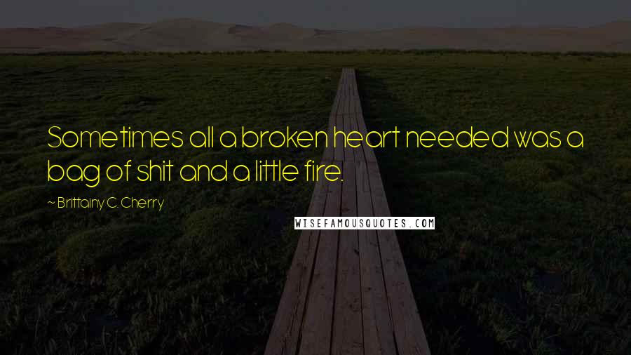 Brittainy C. Cherry Quotes: Sometimes all a broken heart needed was a bag of shit and a little fire.