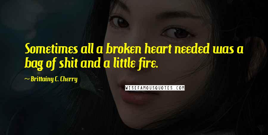 Brittainy C. Cherry Quotes: Sometimes all a broken heart needed was a bag of shit and a little fire.