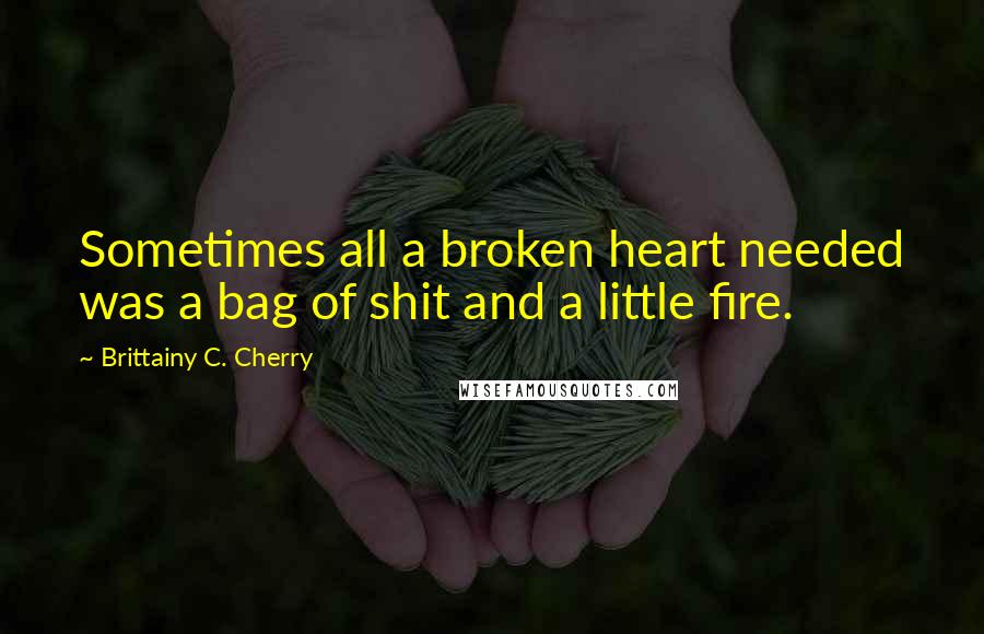 Brittainy C. Cherry Quotes: Sometimes all a broken heart needed was a bag of shit and a little fire.