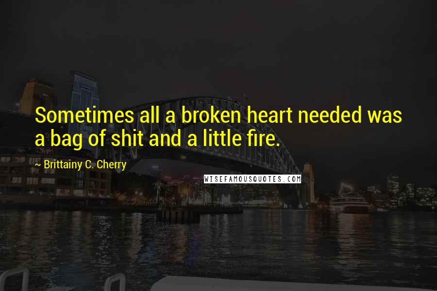 Brittainy C. Cherry Quotes: Sometimes all a broken heart needed was a bag of shit and a little fire.